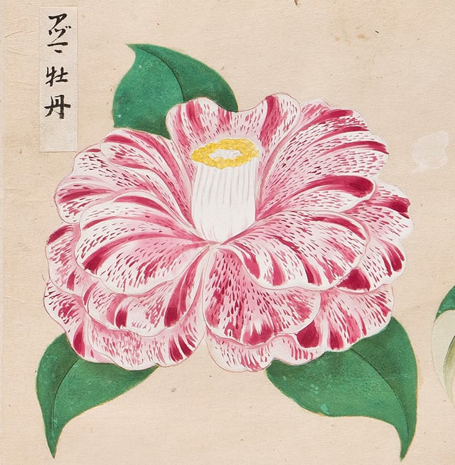 03.jpg?w=784&h=640&q=100