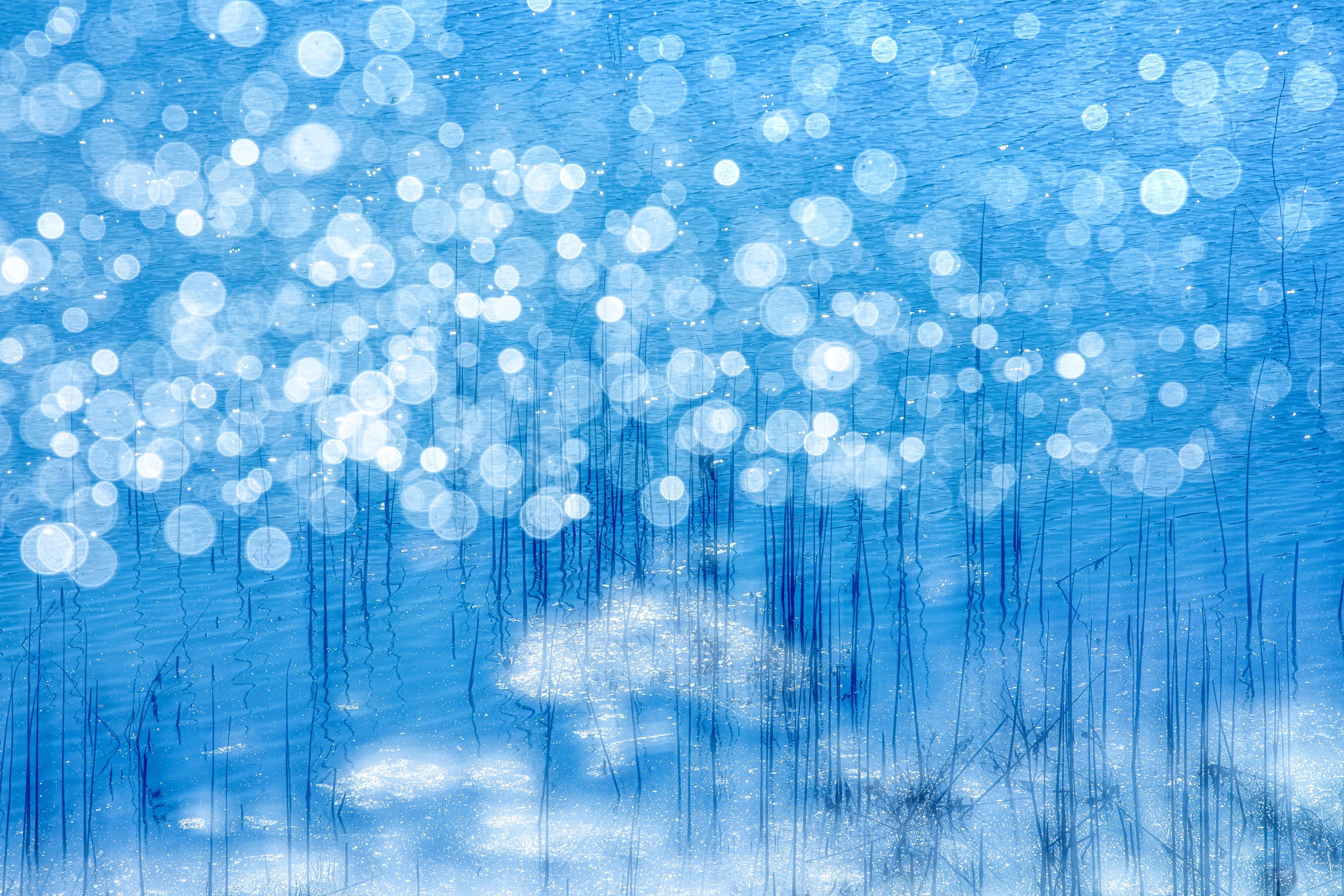 三輪薫 「風の香り～日本のこころの自然風景～」 （キヤノンギャラリー