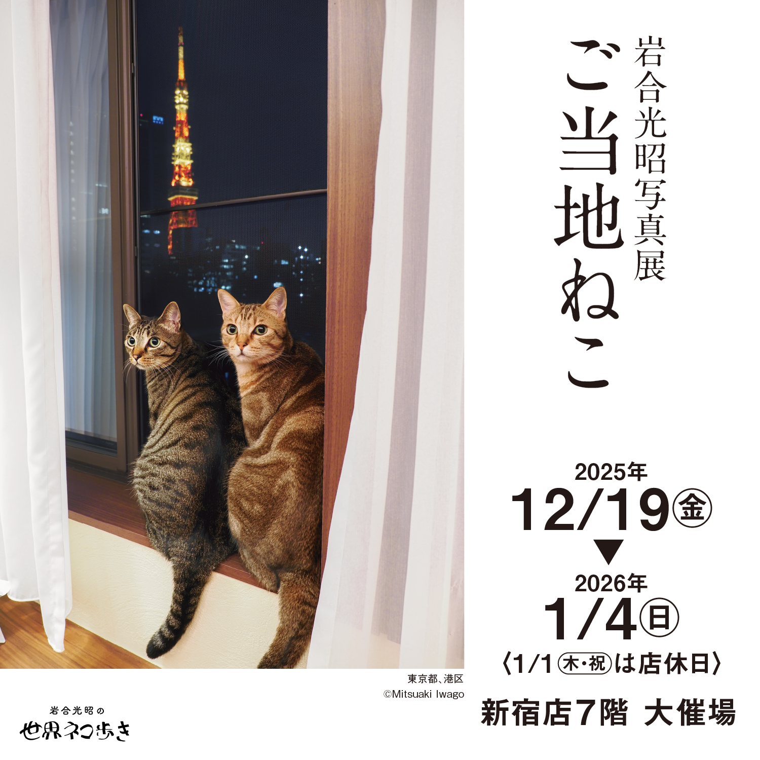 岩合光昭 「ご当地ねこ」 （京王百貨店 新宿店） ｜Tokyo Art Beat