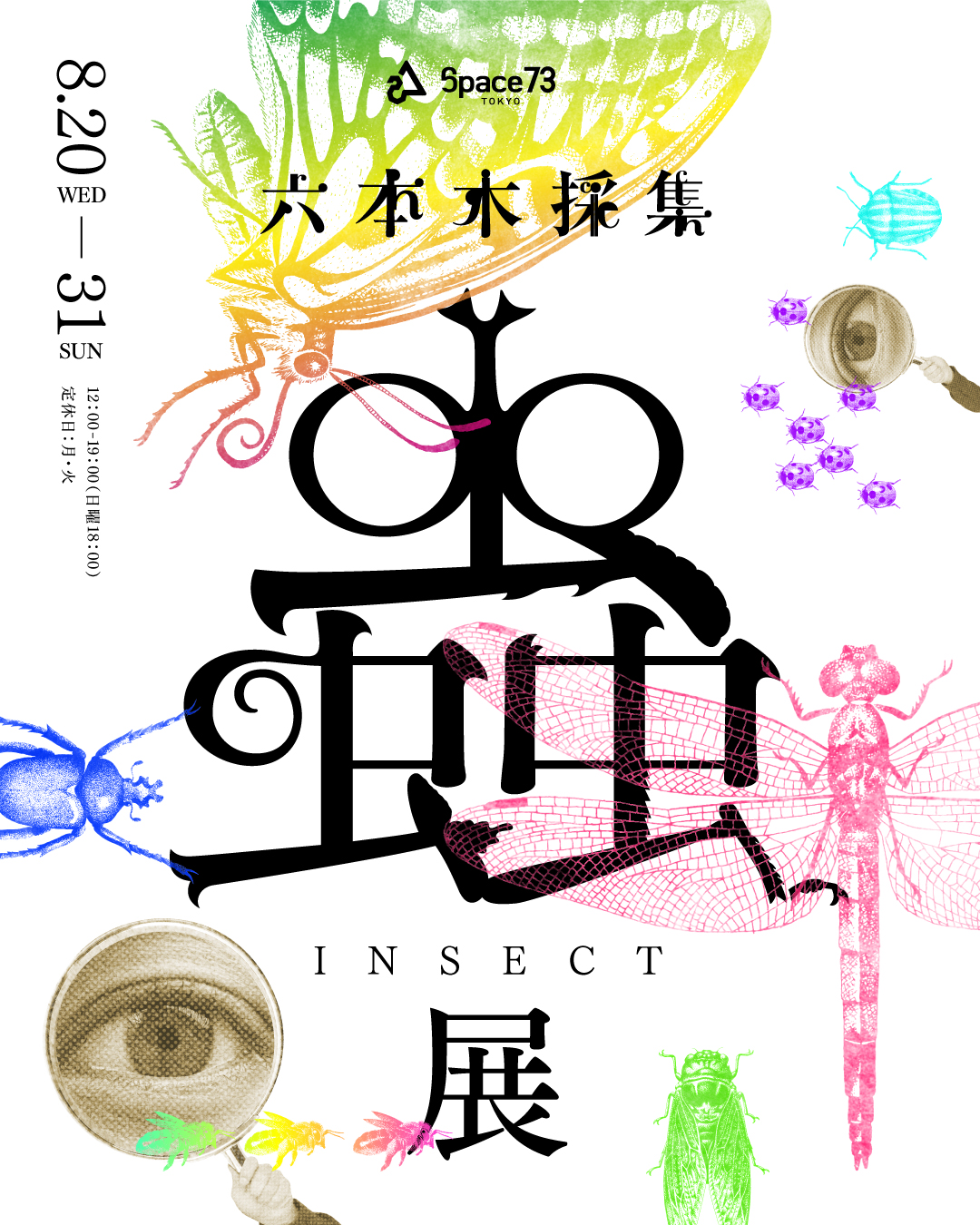 Insect Exhibition （Space73 Tokyo） ｜Tokyo Art Beat
