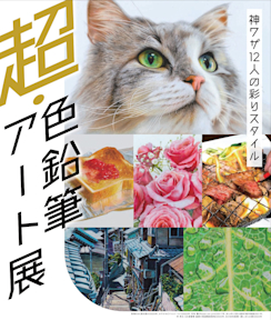 IA.jpeg?w=244&h=304&q=100