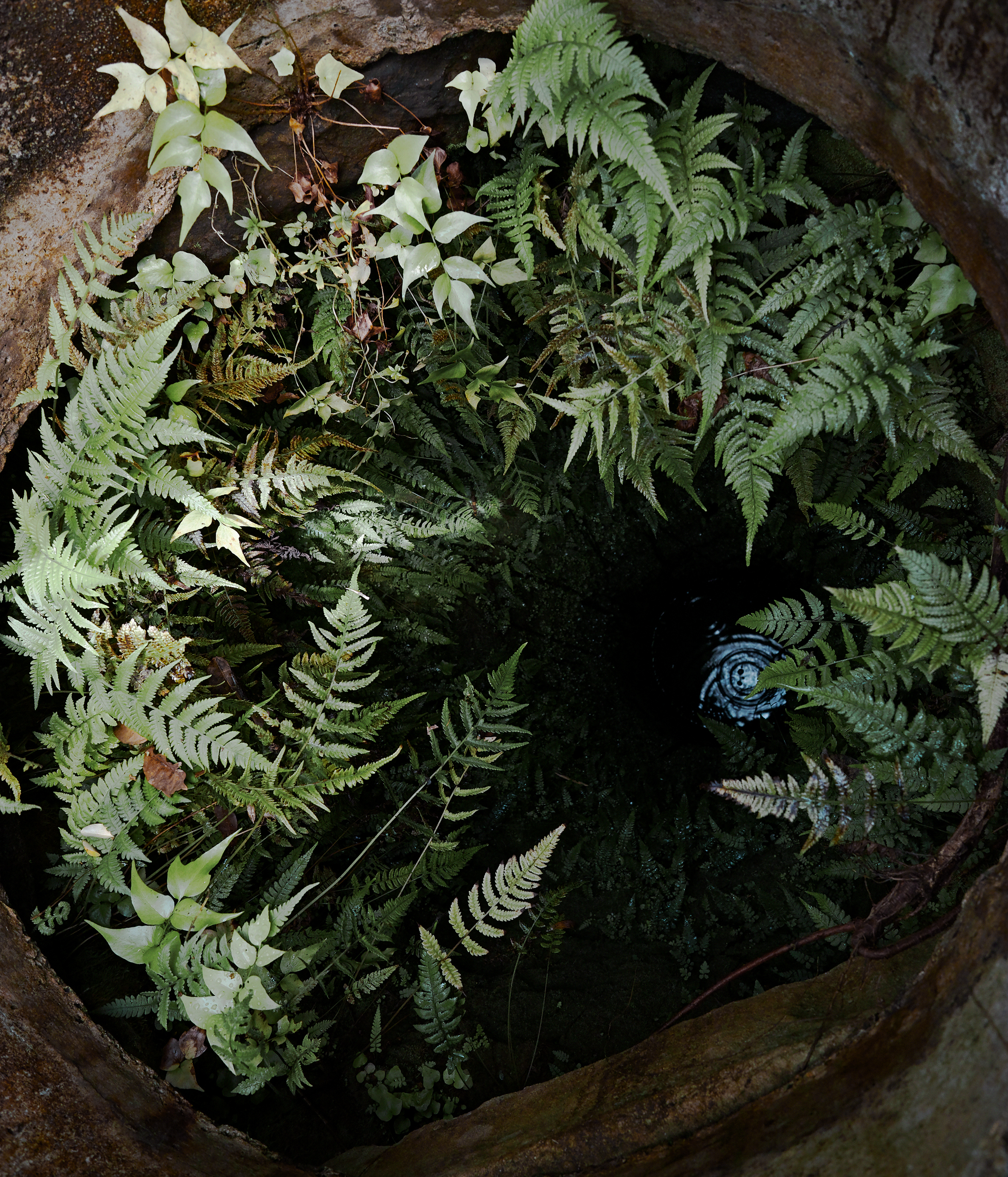 森田具海 「海の痕跡を見つめる ―そして信じること」 （EUREKA