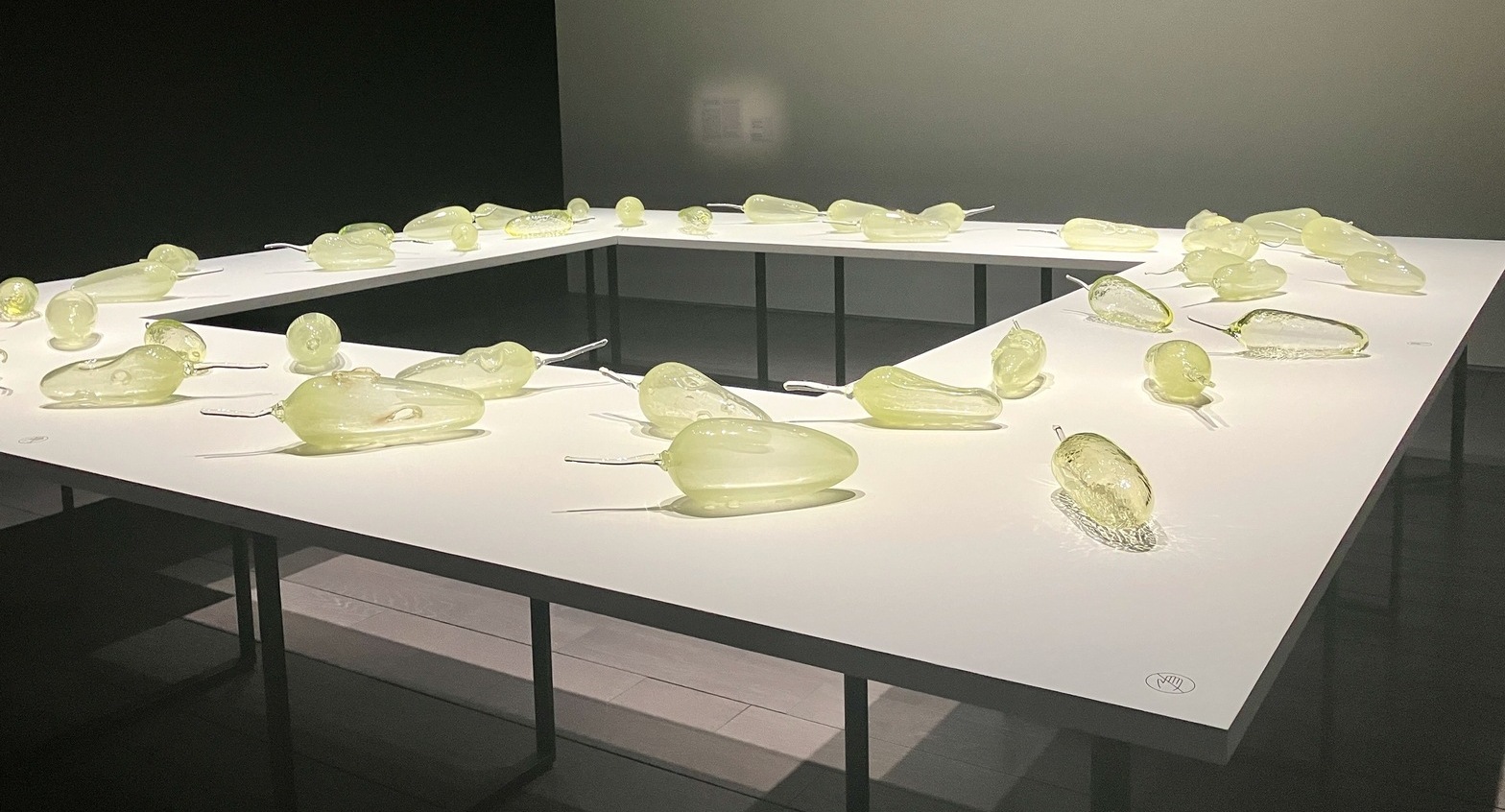 彼女たちのアボリジナル・アート オーストラリア現代美術