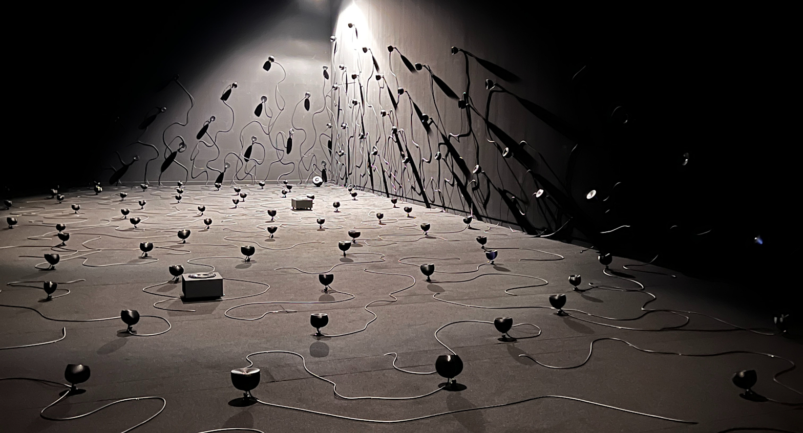 サウンド・アーティストの個展「evala 現われる場 消滅する像」（NTT