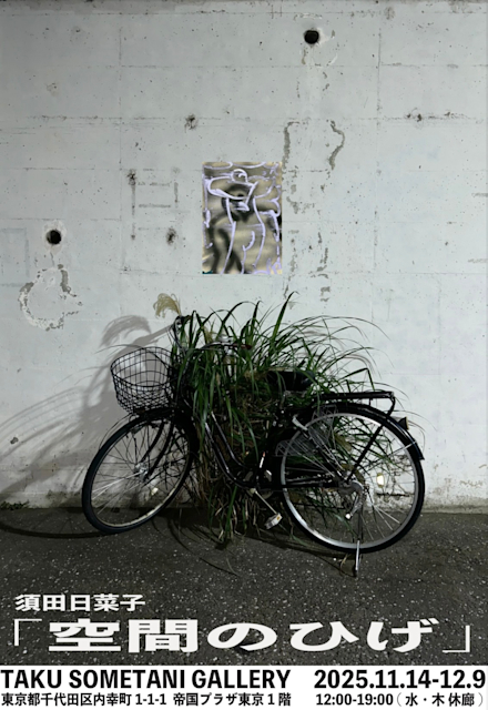 須田日菜子 「空間のひげ」 （TAKU SOMETANI GALLERY） ｜Tokyo Art Beat