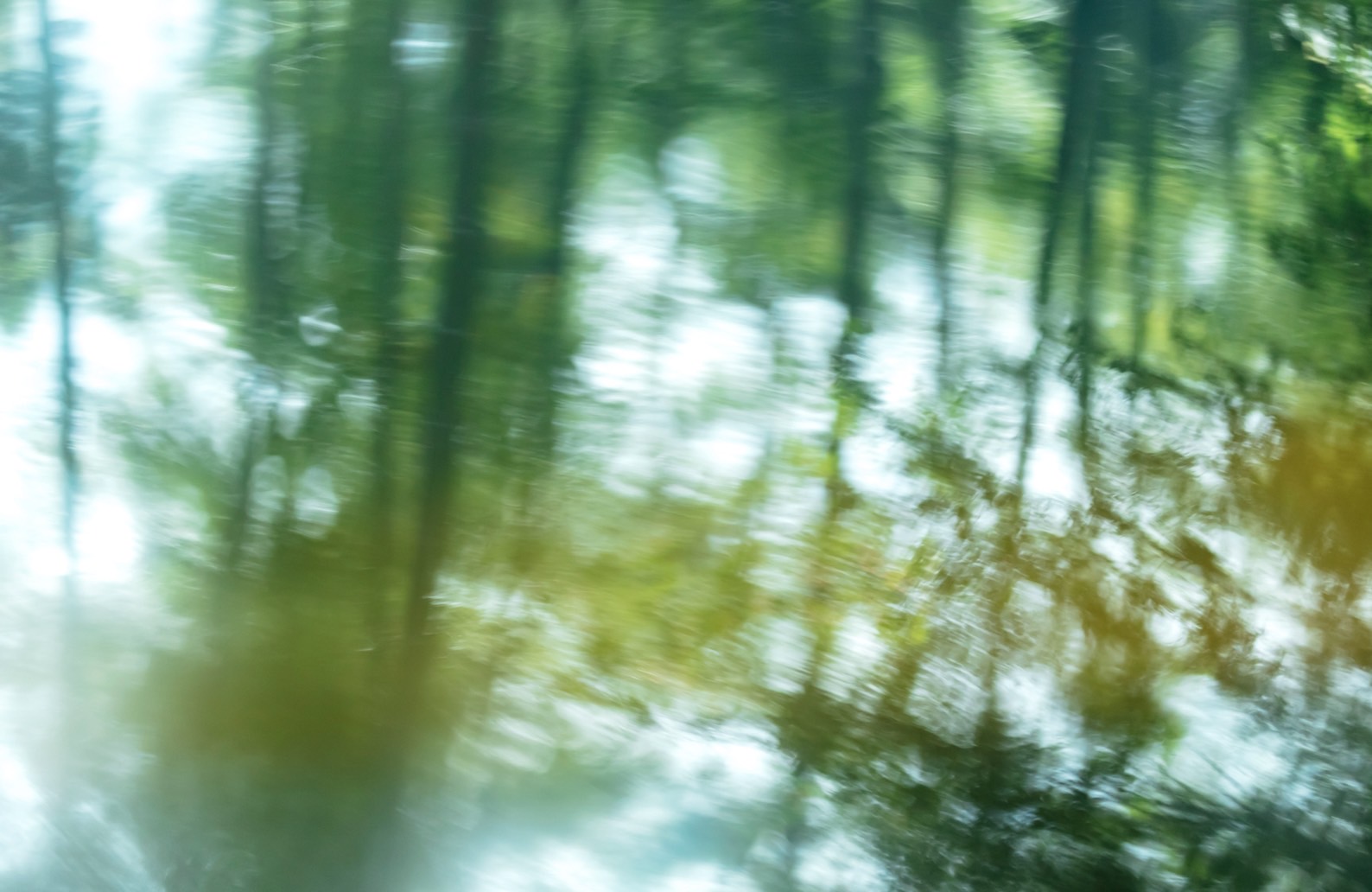 その時間の差し出し方 1 - 湯宿さか本 - 」 （BOOK AND SONS） ｜Tokyo