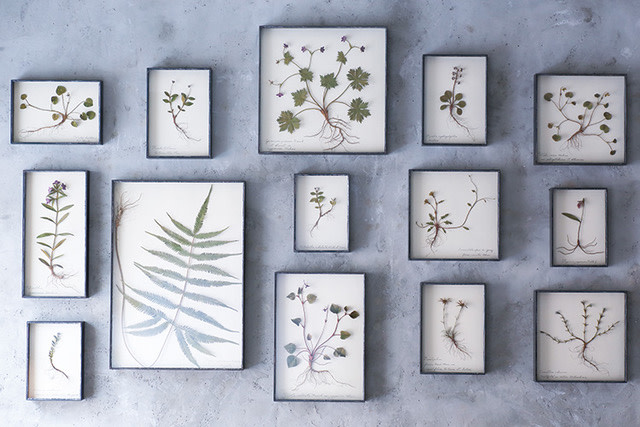 __________-_____.jpeg?w=1200