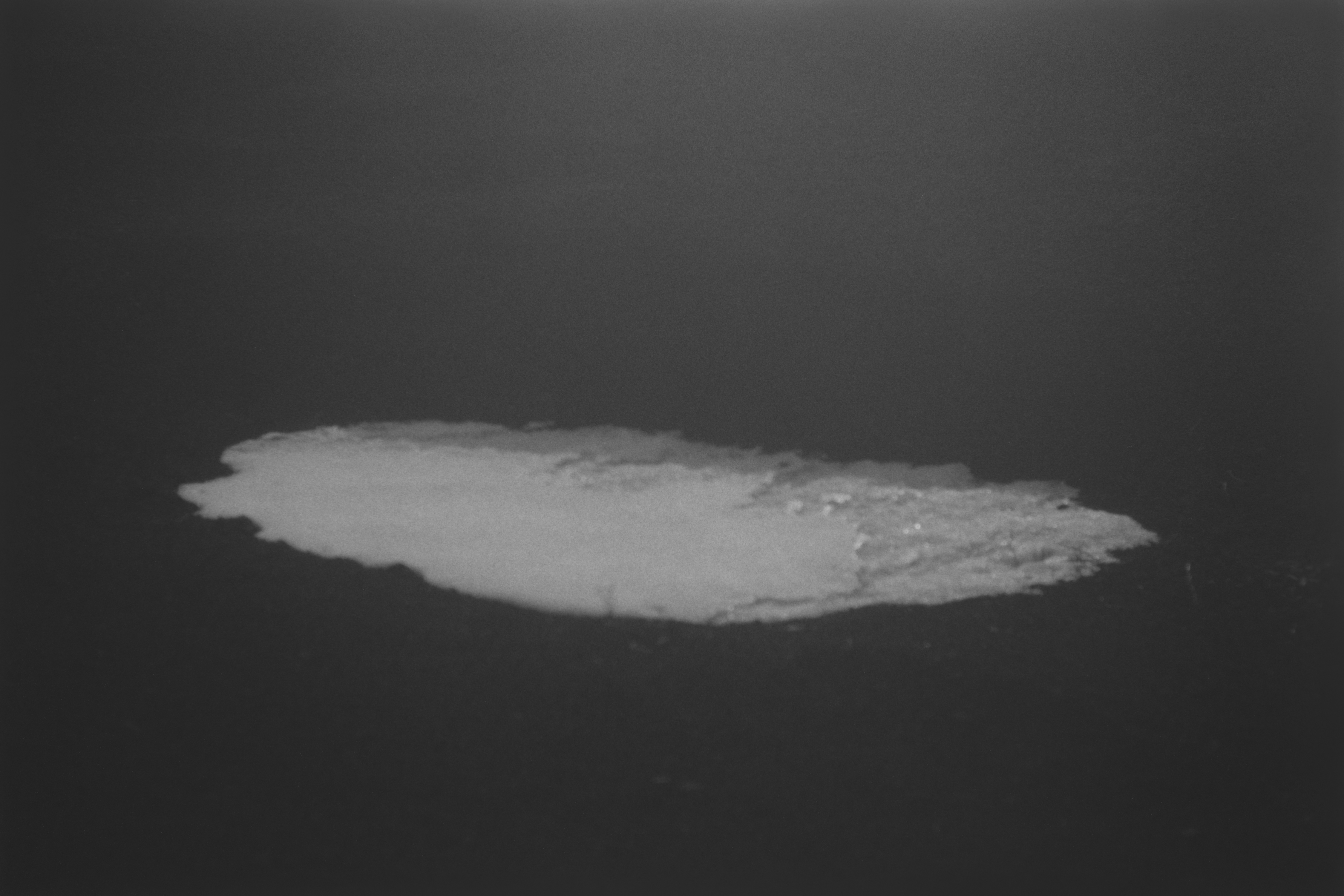 浮景　本多康司　写真集 本多康司 「浮景」 （THE BOOK END） ｜Tokyo Art Beat