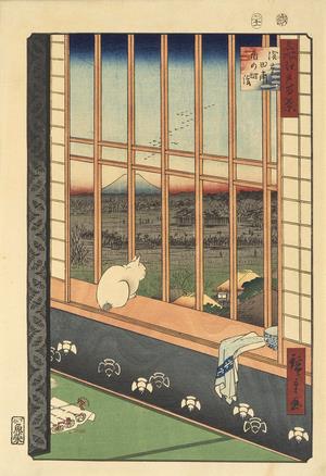 まるまるネコ　油絵 Ukiyo-e 猫百科 ごろごろまるまるネコづくし」 （うらわ美術館
