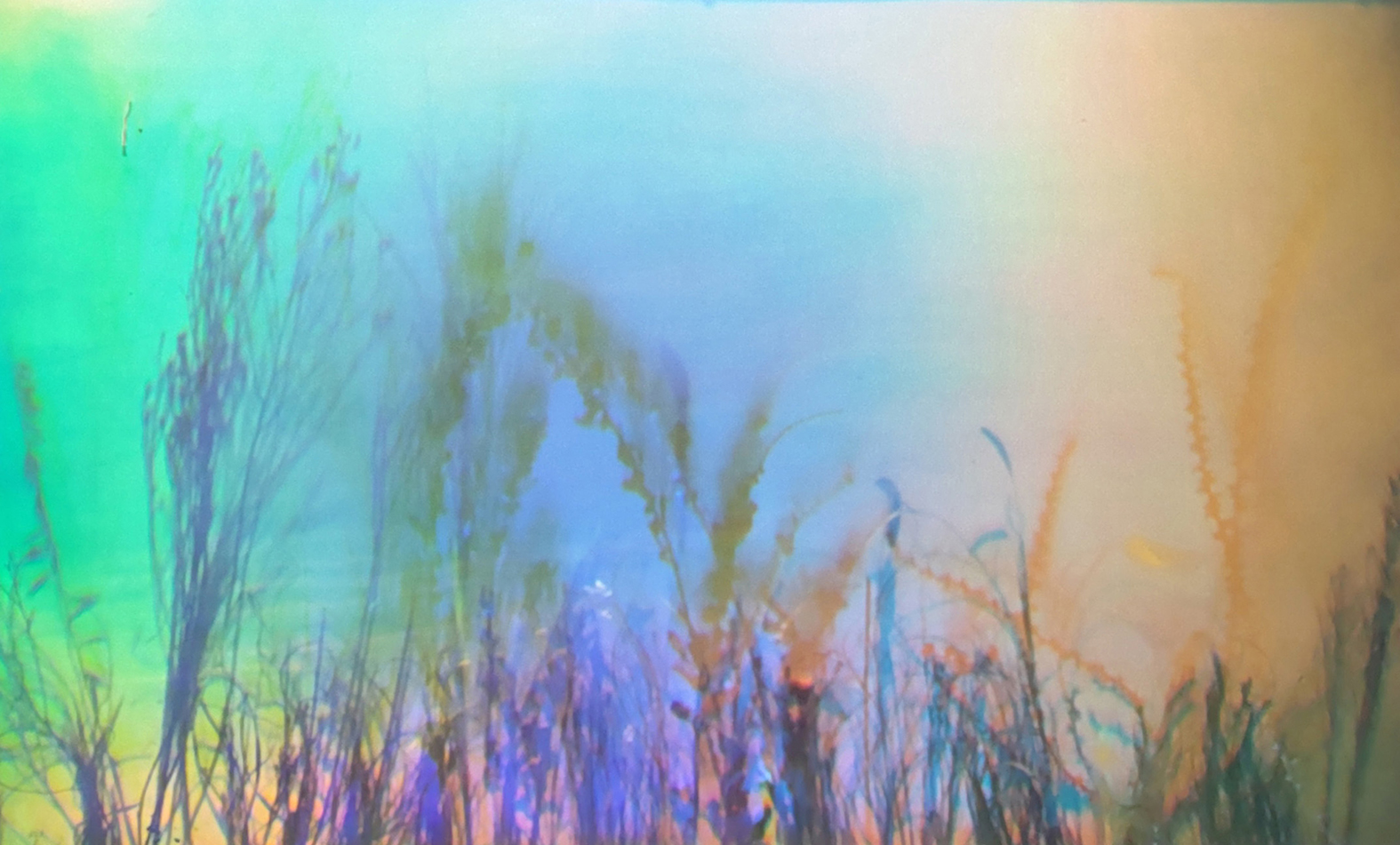 石井勢津子 「光を紡ぐ」 （オリエ アート・ギャラリー） ｜Tokyo Art Beat