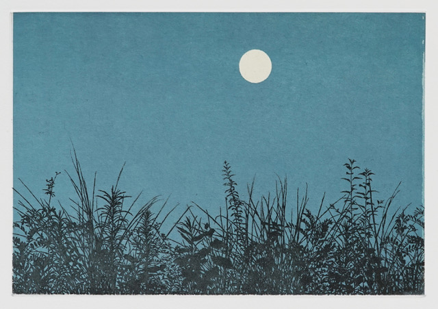 Tokuro Sakamoto "Time-lapse"