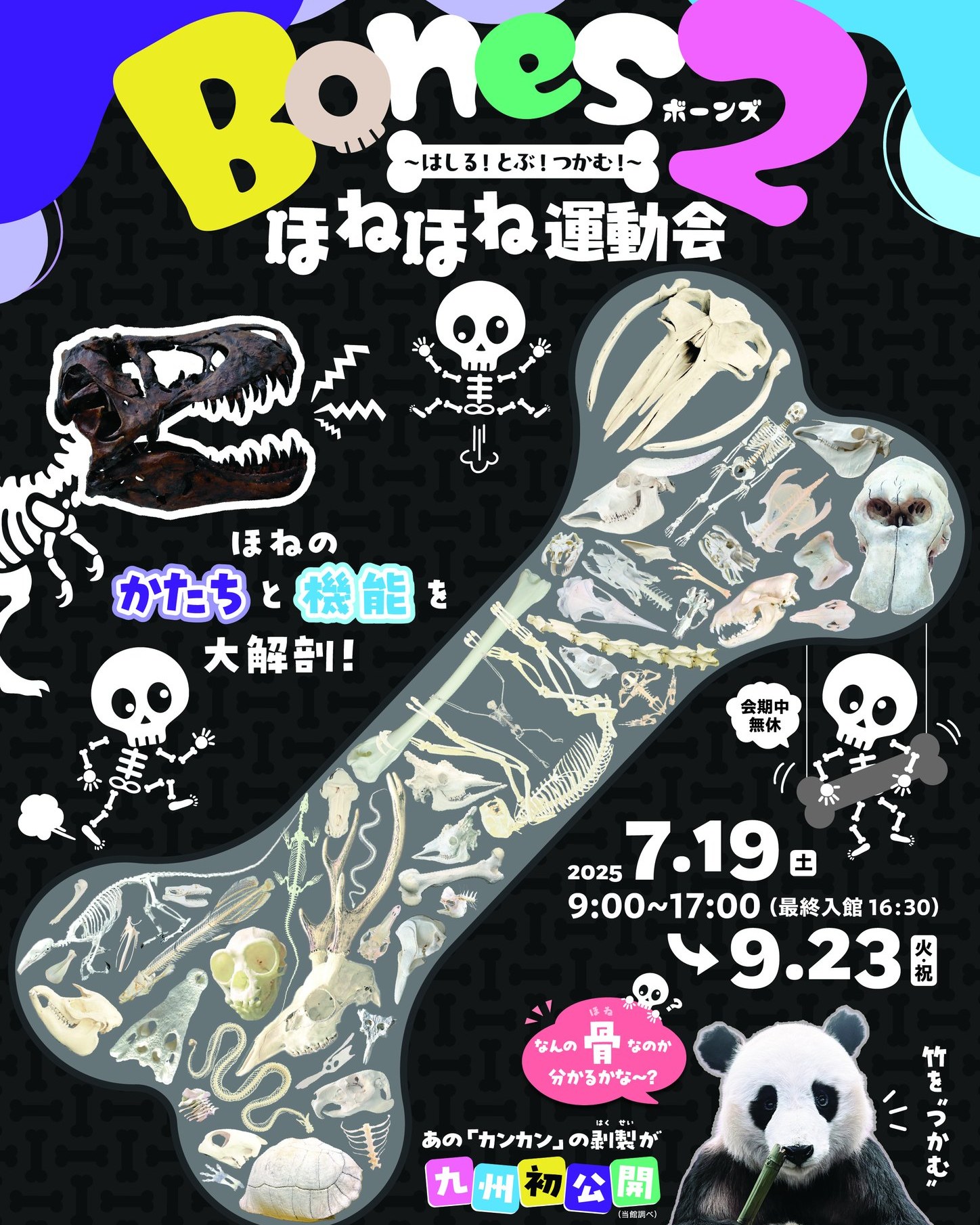 Bones2 ほねほね運動会 ～はしる！とぶ！つかむ！～」 （北九州市立