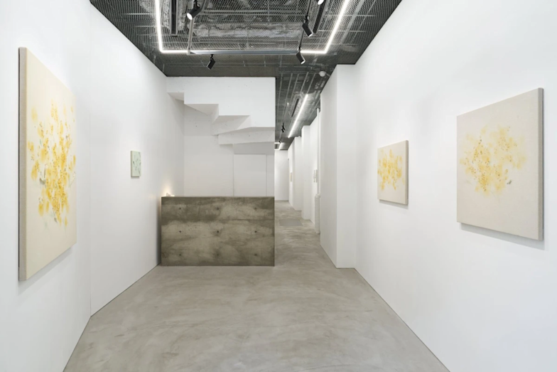 藤本純輝 「トリやチョウやミツバチや」 （COHJU contemporary