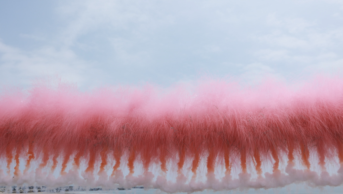 Sakura Blooms in the Sky: Daytime Firework Event by Cai Guo-Qiang at ...