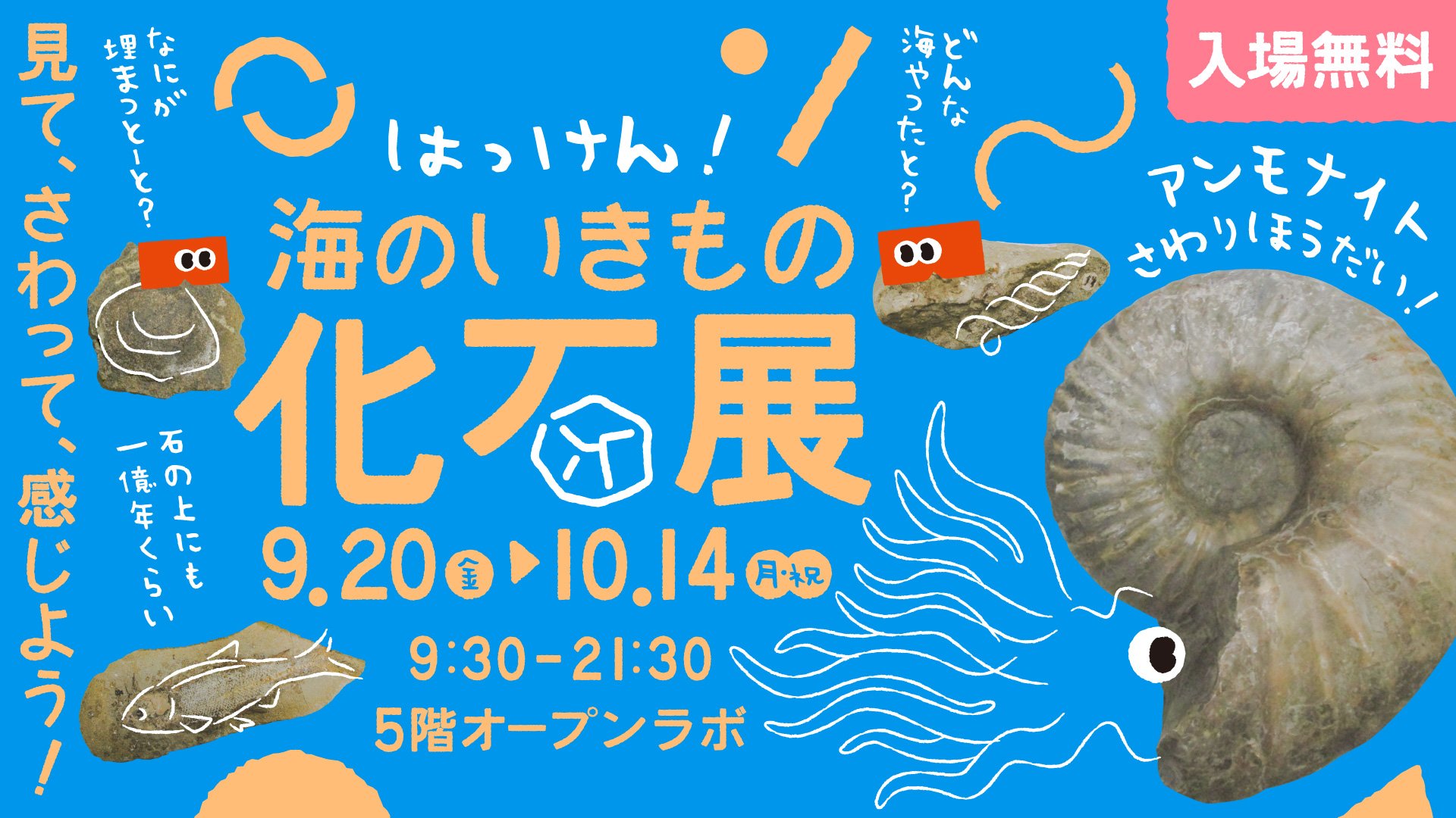 はっけん！海のいきもの化石展」 （福岡市科学館） ｜Tokyo Art Beat