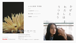 上白石萌歌 「かぜとわたしはうつろう」 （encounter gallery