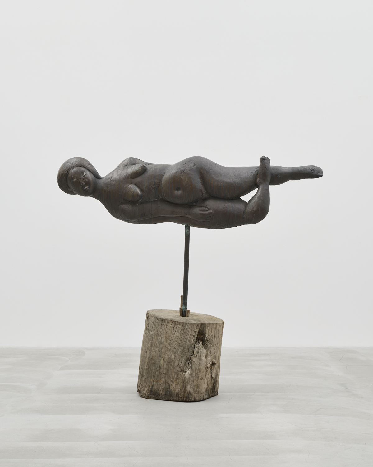 新しい南画の世界 ―― 浜口陽三と後藤理絵、重野克明、染谷悠子、西久松