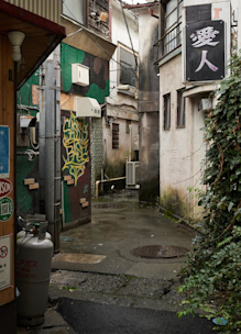 2-2.jpeg?w=244&h=304&q=100