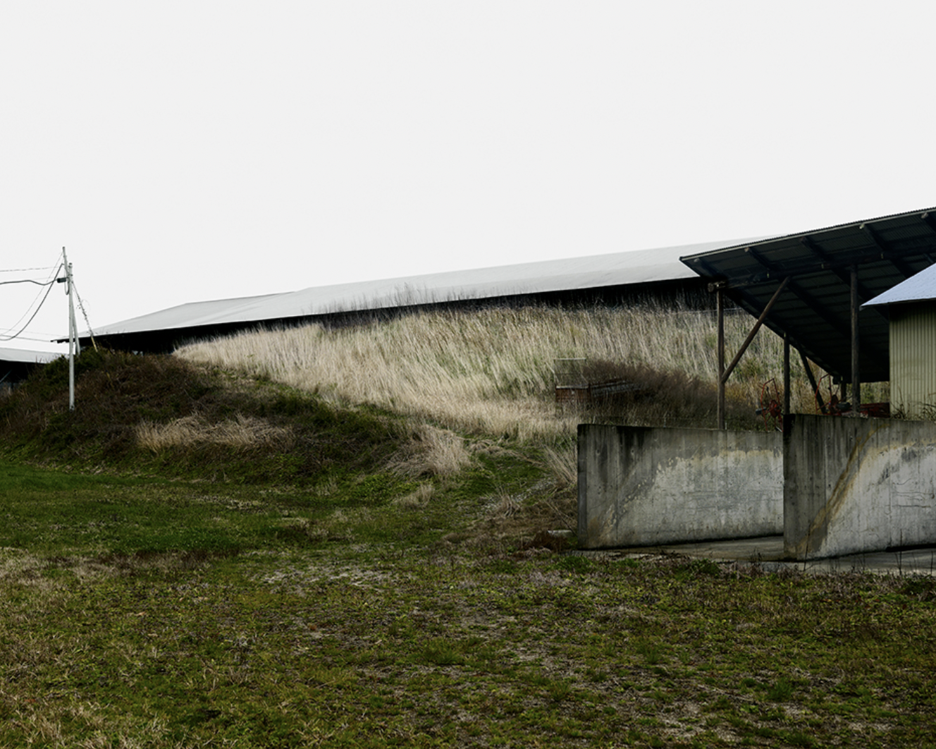 北島敬三 「UNTITLED RECORDS」 （ニコンプラザ大阪） ｜Tokyo Art Beat