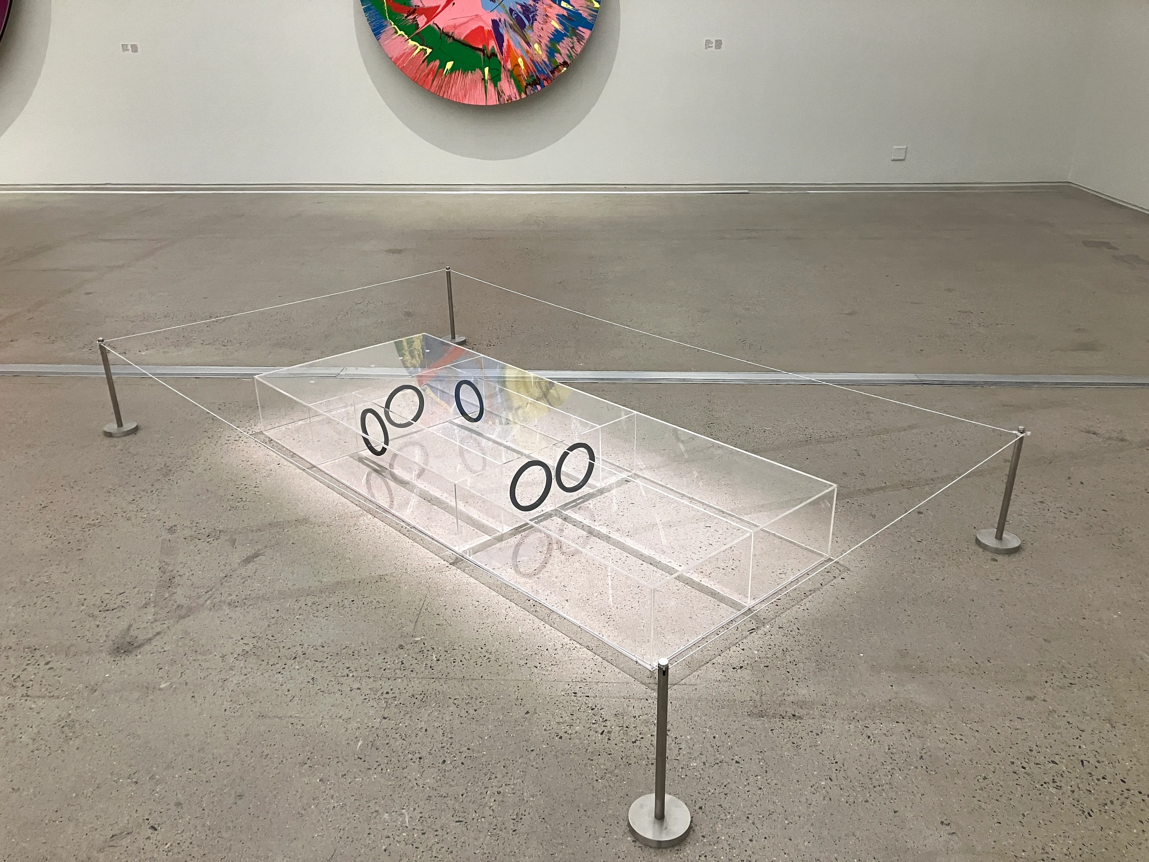 ダミアン・ハースト展（韓国・国立現代美術館）開幕レポート。アジア初