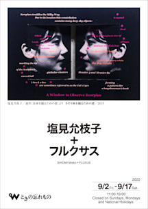 塩見允枝子 マルチプル作品「 SHADOW  EVENT  NO・Y 」 塩見允枝子 マルチプル作品「 SHADOW EVENT NO・Y 」 作家