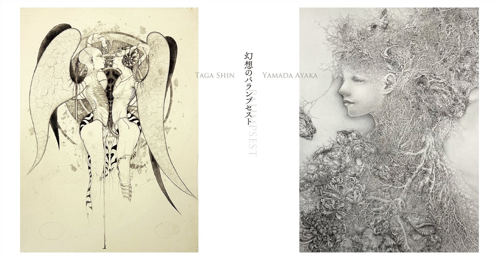 幻想のパランプセスト 多賀新 × 山田彩加 / 『版』の芸術」 （不忍画廊