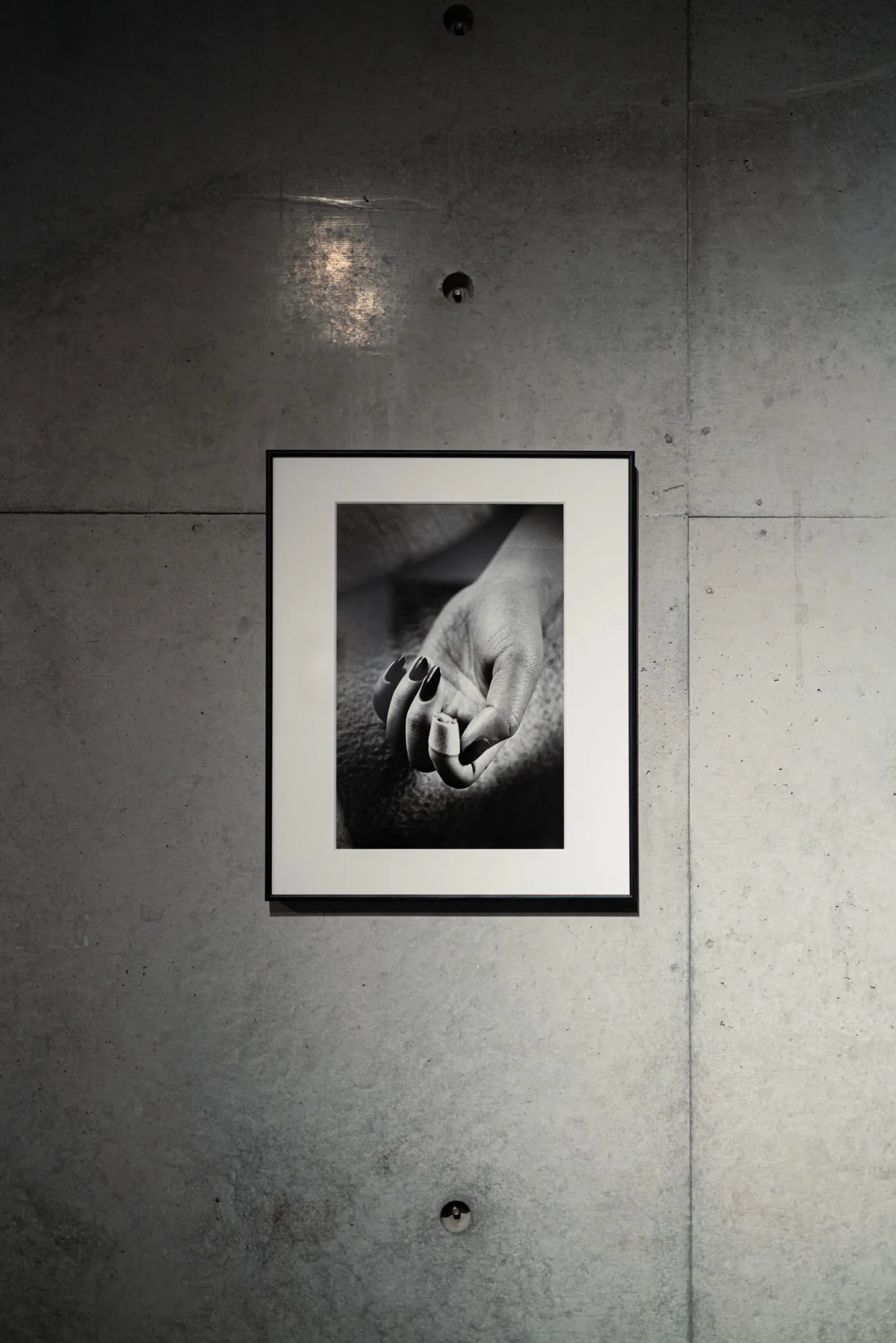 Daido Moriyama Exhibition （Node Hotel） ｜Tokyo Art Beat