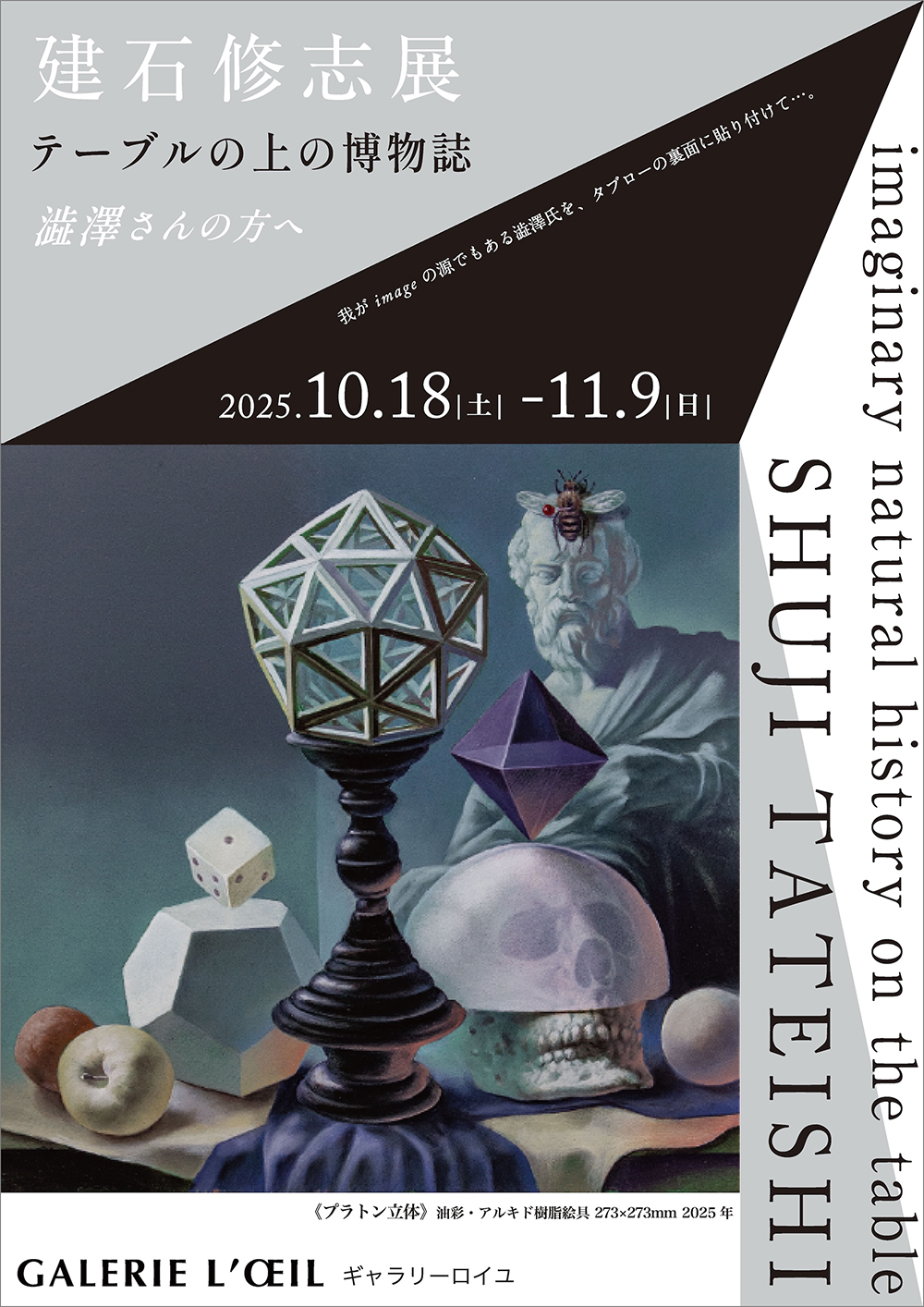 建石修志 「テーブルの上の博物誌」 （GALERIE L'OEIL（ギャラリーロイ