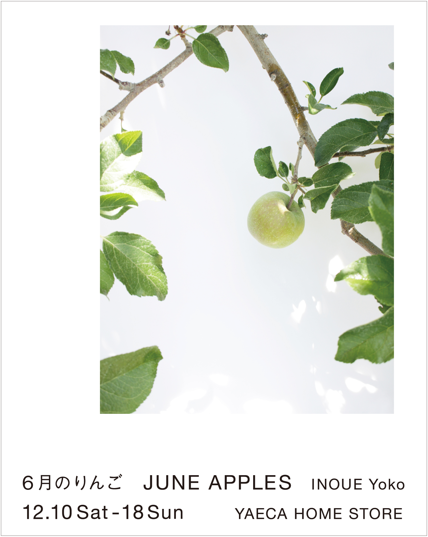 井上庸子 「6月のりんご JUNE APPLES」 （YAECA HOME STORE） ｜Tokyo 