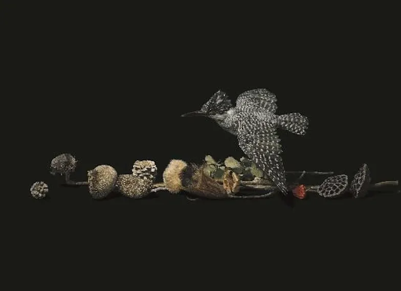 野田弘志 真理のリアリズム」 (奈良県立美術館) |Tokyo Art Beat 野田弘志 真理のリアリズム」 (奈良県立美術館) |Tokyo Art Beat