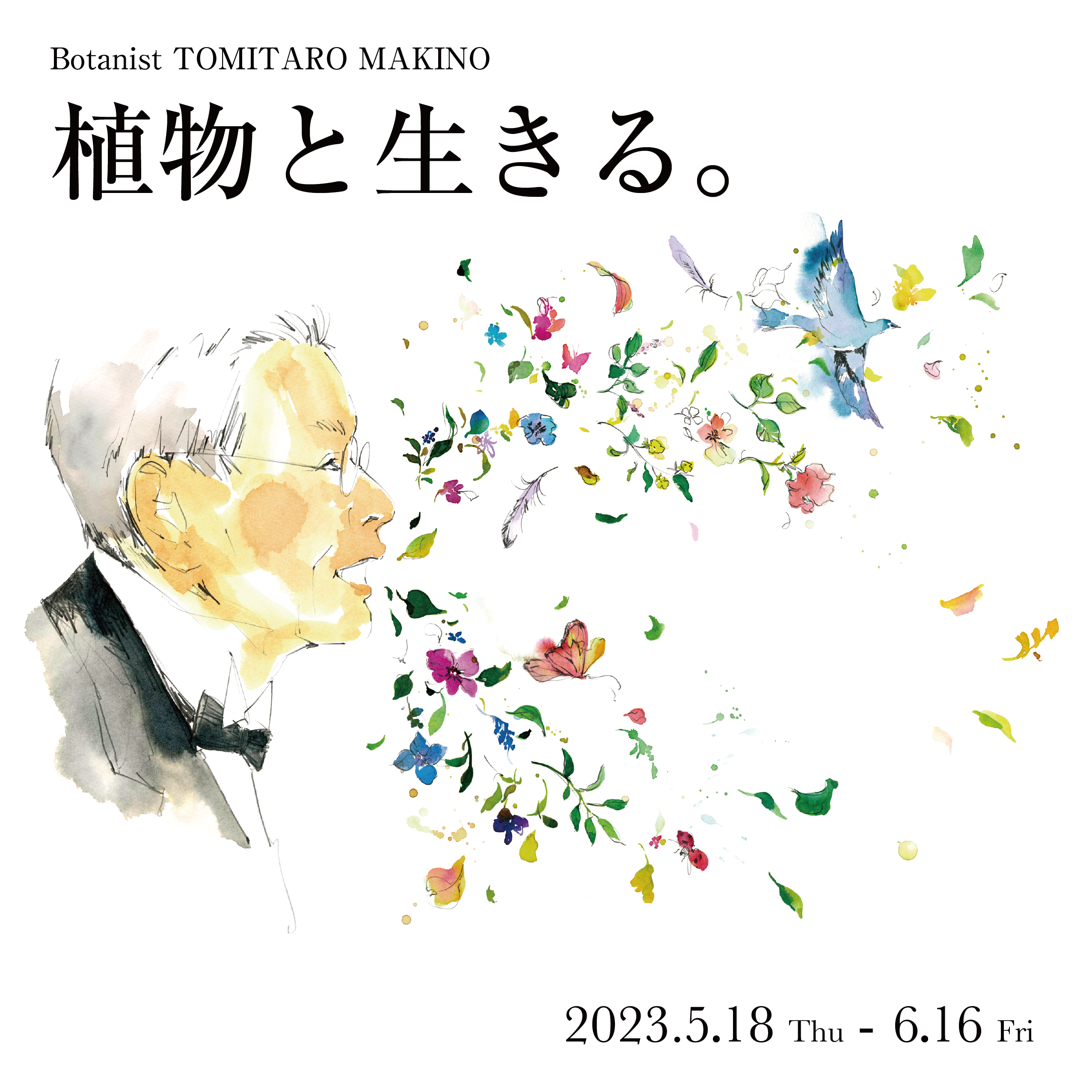 特別公開『東大植物学と植物画 – 牧野富太郎と山田壽雄vol.4 