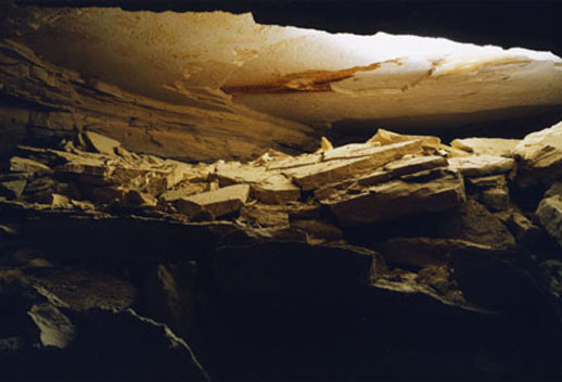 落下した空を写真に｜Tokyo Art Beat