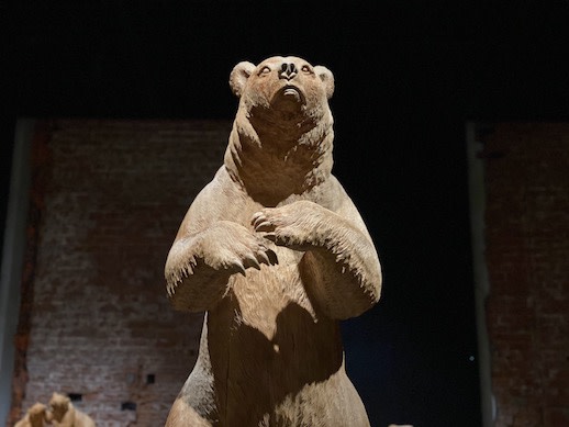 木から生まれる別の命：東京初の大規模個展「木彫り熊の申し子