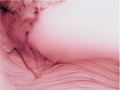 ヴォルフガング・ティルマンス：Freischwimmer （東京オペラシティ  