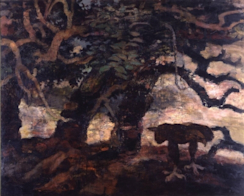 2005_256B?w=244&h=304&q=100