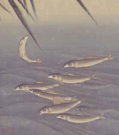 2005_6170?w=244&h=304&q=100