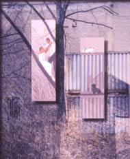 その他 Sonoko Arai : Inspiration crystal Sonoko Arai, Naoko Nakayama, Mariko Muramatsu: Collaboration