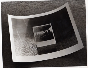 大辻清司 「出会いとコラボレーション」 （渋谷区立松濤美術館