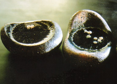 村岡由梨 展 （ギャラリー舫） ｜Tokyo Art Beat