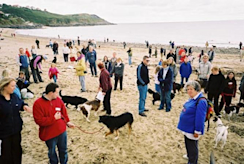 島袋道浩 「これまでの話 2」 （シュウゴアーツ） ｜Tokyo Art Beat