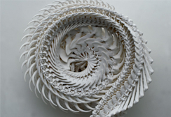 2007_5765?w=244&h=304&q=100