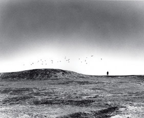 斎藤亮一 + 中藤毅彦 展 （エモン・フォトギャラリー） ｜Tokyo Art Beat