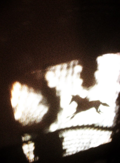 tiny dinosaur + JUNIO 「Shadow Graph」 （Otherwise Gallery