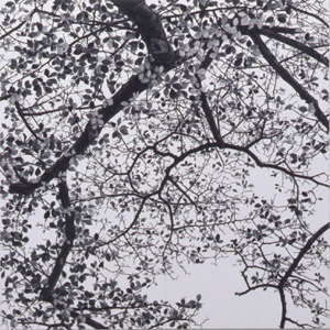 日高理恵子 展 （小山登美夫ギャラリー六本木） ｜Tokyo Art Beat