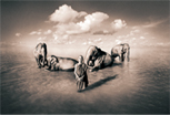 Gregory Colbert 