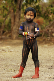 アマゾンの侍たち — 人間・自然・芸術」展 （川崎市岡本太郎美術館