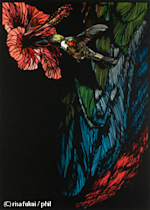 2008_0DED?w=150&q=100