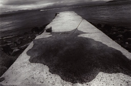 山田イサオ 展 （ニコンサロンbis） ｜Tokyo Art Beat