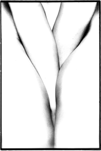 2008_B6D9?w=244&h=304&q=100