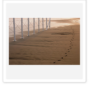 川廷昌弘 展 （キヤノンギャラリー 銀座） ｜Tokyo Art Beat